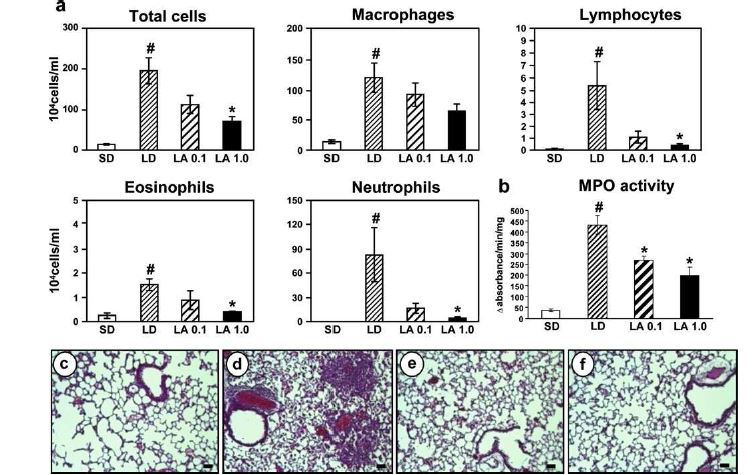 Figure 6. Effects of AS 605240 on cellular changes in BAL fluids, MPO activity in lung tissues, and pathological changes in LPS- treated mice.