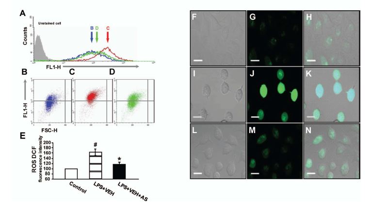 Figure 8. Effect of PI3Kγ inhibition on intracellular ROS generation.