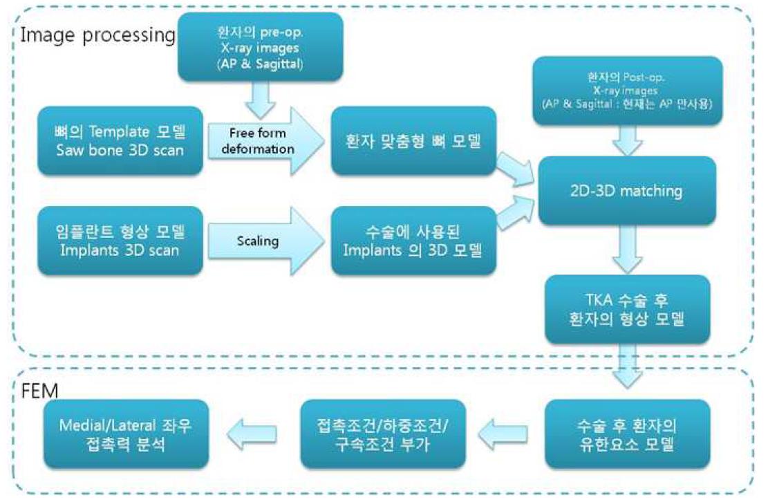 의료영상 기반 임플란트 성능 평가 프로토콜