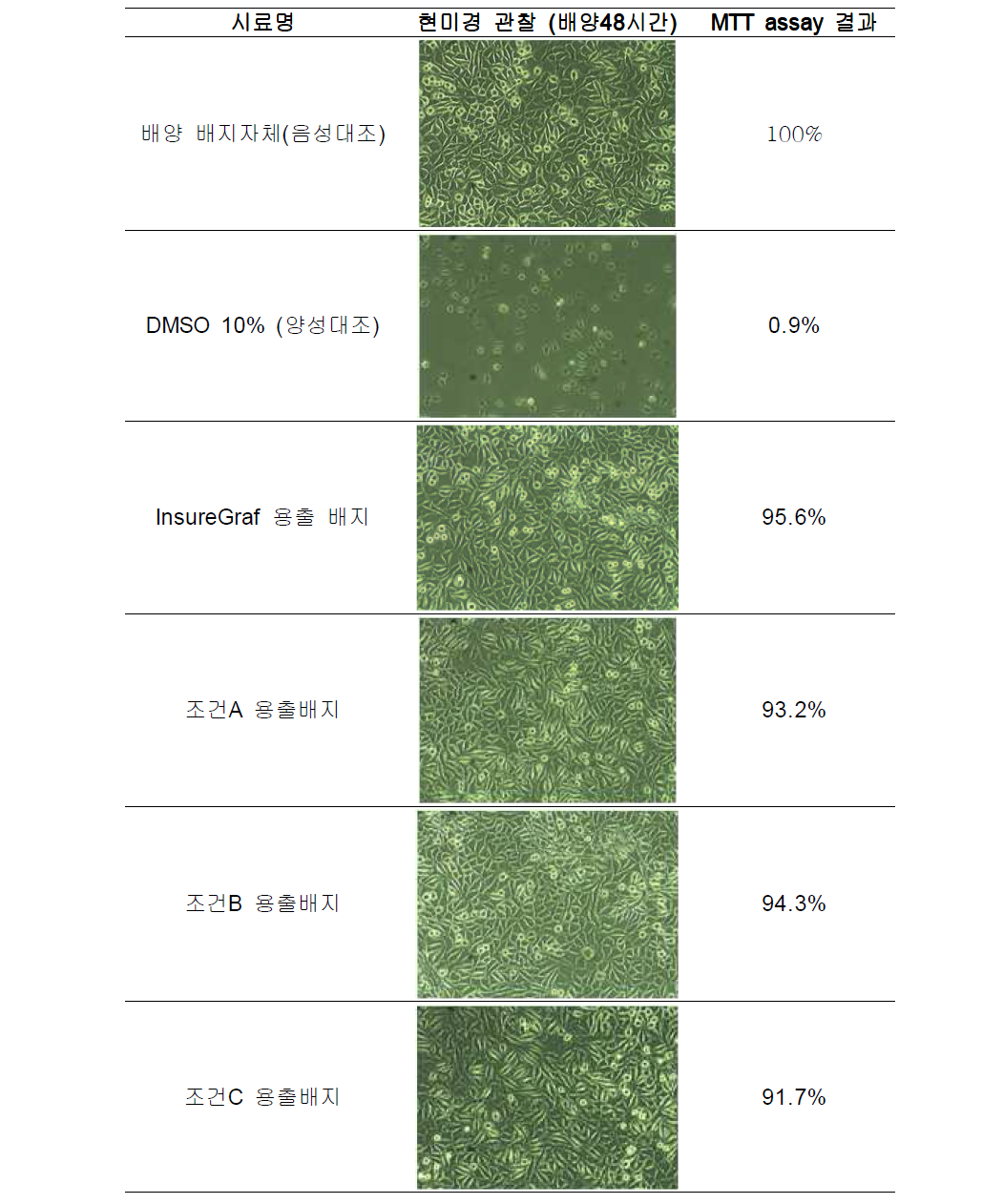 세포독성시험 육안관찰 및 MTT assay 결과