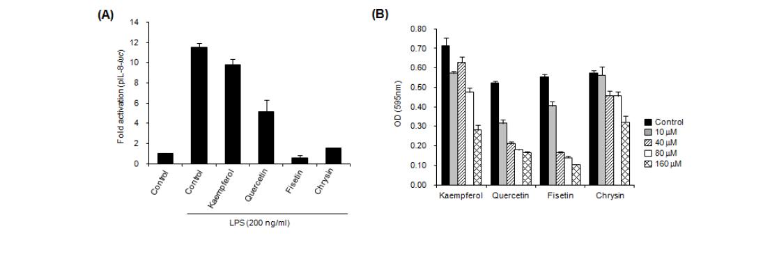 LPS에 의해 유도되는 IL-8 promoter 활성화와 세포독성에 flavonoid들이 미치는 영향 평가