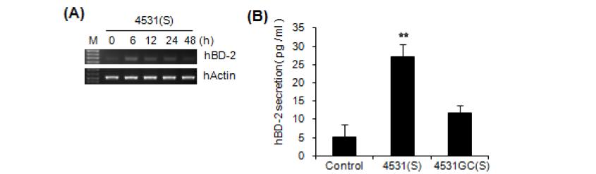 인간 혈액의 PBMC를 분리하여 phosphorothioate backbone의 CpG-DNA (4531(S))를 처리하였음