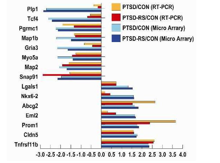 가장 높은 수준으로 변화한 유전자들의 qPCR 검정