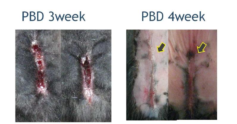 Burn scar formation after mechanical loading