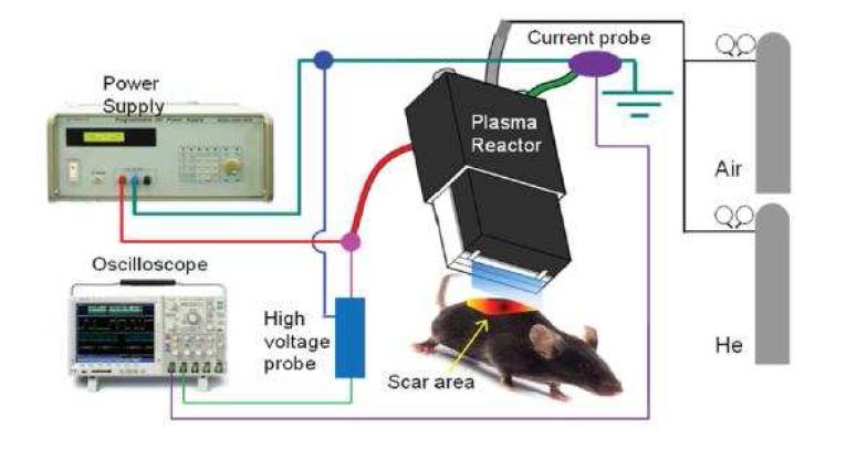 동물모델에 적용한 플라즈마 장치 시제품
