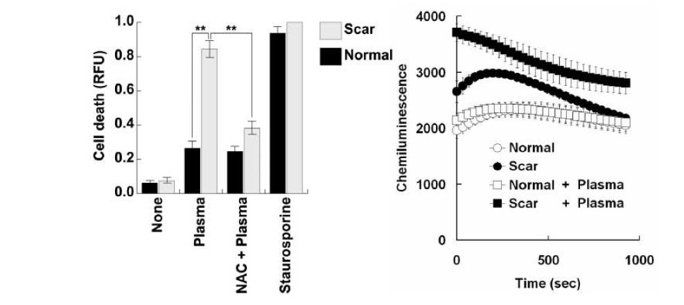 (a) Plasma induces cell death of HTSF. Cells were pretreated with or without NAC (10mM) for 30min before plasma treatment. After 24h,cells were stained with FITC- Annexin V and then checked cell death rates. Measurement was obtained as relative fluorescence units (RFU) normalized to he results shown represent the mean of triplicates of three separate experiments ± S.D., p < 0.01. (b) Plasma stimulates ROS formation in HTSF cells. Cells were treated with or without plasma and then immediately ROS generation was determined for 15 min, using a chemiluminescence assay.