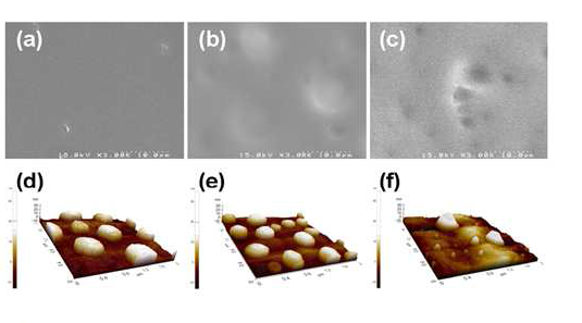 전기분사장치에서 약물의 용출속도에 따라 코팅된 금속 표면의 SEM과 AFM 이미지