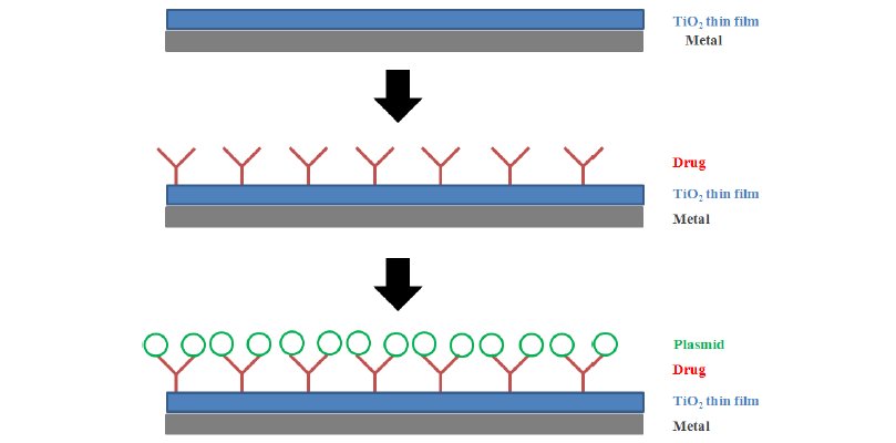 산화 티타늄 박막 코팅을 이용한 유전자 전달 스텐트의 개발 모식도