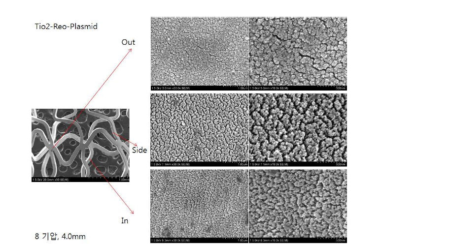 산화티탄박막 코팅 스텐트의 확장 후 전자 현미경 사진