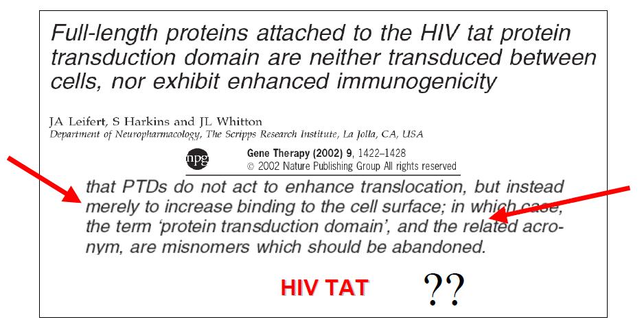 HIV-Tat 유도 basic MTD가 in vivo 에서 안된다는 많은 보고중 하나