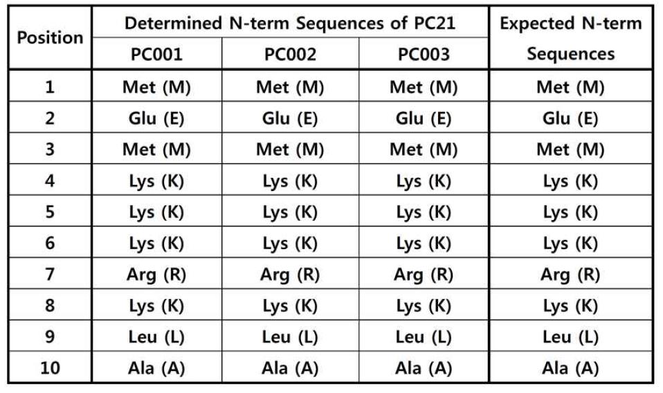 PC21 단백질 시료의 N-terminal 서열 분석 결과