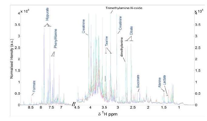 Spectral assignments, BPH urine samples (R001- R020) with identifiable chemical compounds