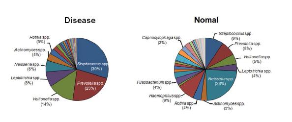 구강 질환 환자와 정상인의 종의 수준에서 구강 세균체의 분포