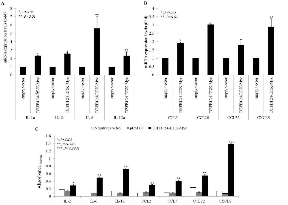 DEFB124의 과발현에 의한 cytokine과 chemokine의 발현 변화