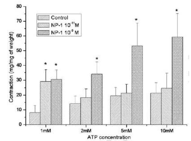 α-defensin 1이 ATP에 의한 수축 증가시킴