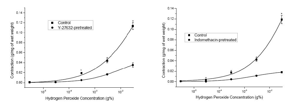 Y-27632와 Indomethacin이 각각 전처치된 백서 방광 평활근절편에서 저농도 H2O2의 농도증가에 따른 수축력 변화