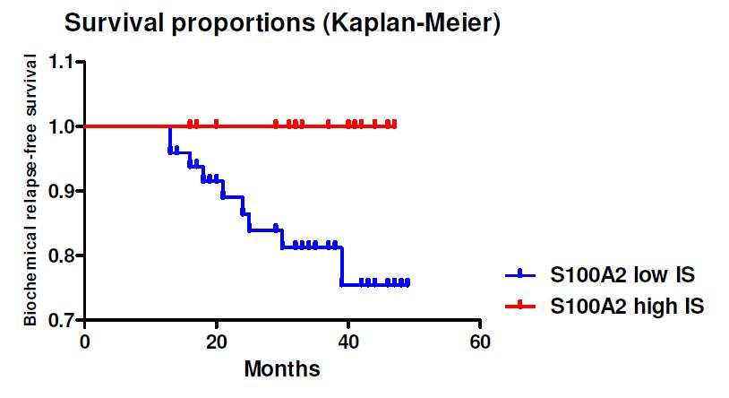 Kaplan-Meier product-limit analysis of the length of biochemical relapse free survival among CaP patients with low expression (immunoreactive score = 0 or 1) and high expression (immunoreactive score = 2 or 3) of S100A2 protein