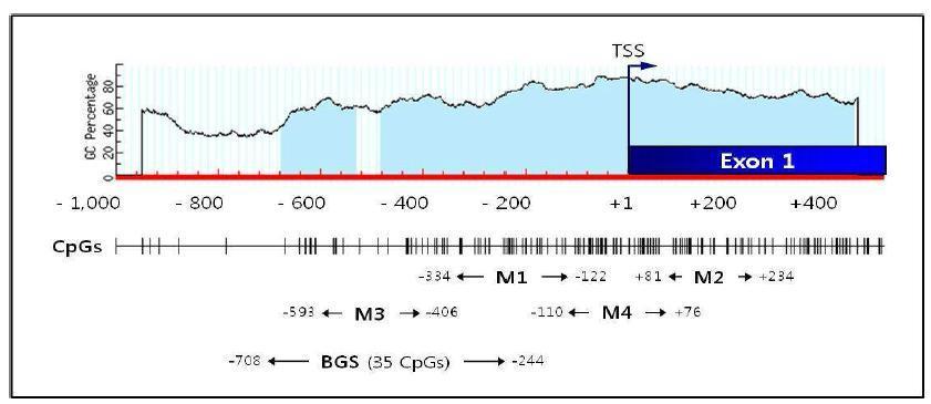 KLOTHO 유전자 5 말단의 CpG island 모식도