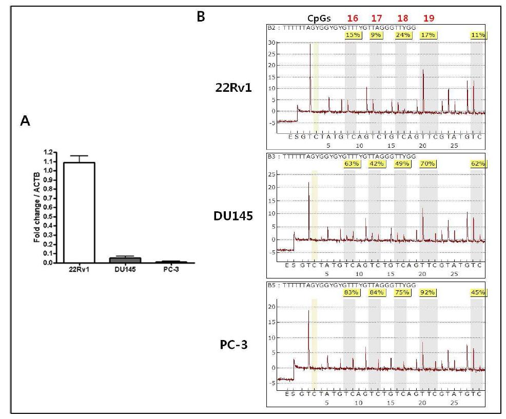 전립선암 세포주 22Rv1, DU145, 그리고 PC-3에서 KLOTHO 유전자의 mRNA 발현 레벨과 KLOTHO 프로모터의 CpG methylation 레벨과의 상관 관계