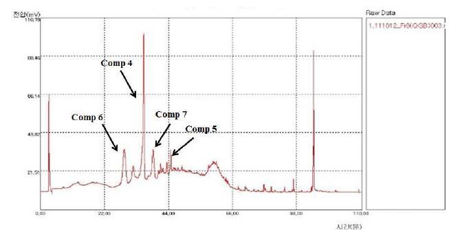 HPLC 결과