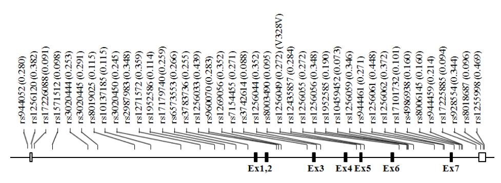 Map of ESR2 on chromosome 14q23 (111.5 kb)