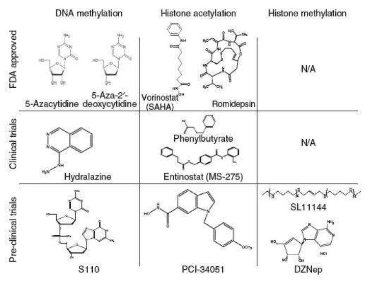 Chemical structures of selected compounds that target epigenetic modifications