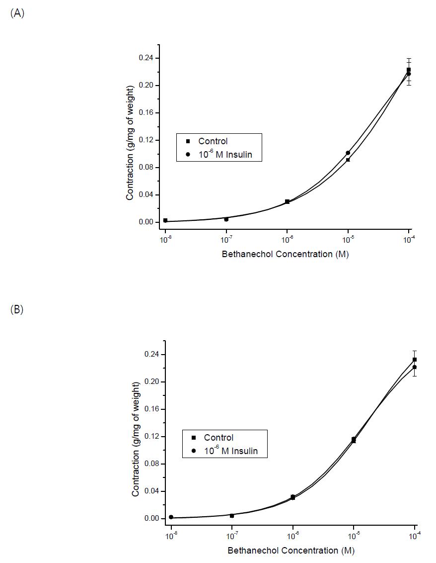 The effect of insulin on the BCh induced contraction in WKY(A) and SHR(B)