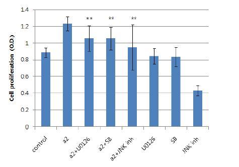 MAPKs are involved in HNP-stimulated cell proliferation in DU145 prostate cancer cells