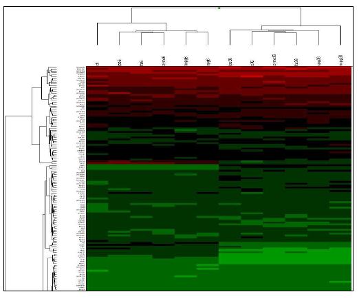 전립선암 세포주 의 Gene Expression Profiling 결과