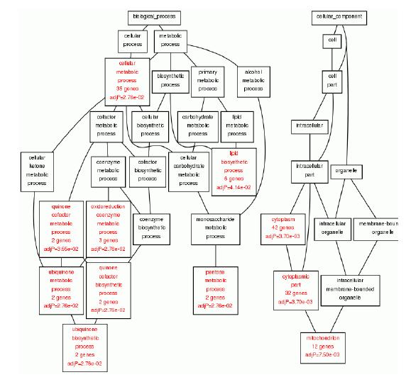 LPS, down-regulation 유전자의 Gene Ontology Category