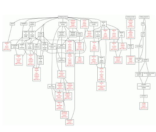 LTA, up-regulation 유전자의 Gene Ontology Category