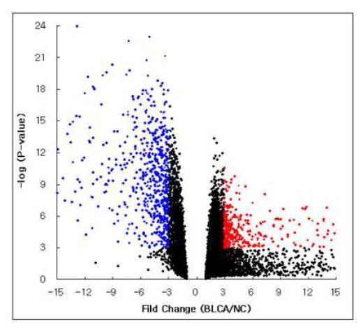 Gene Expression Level - Volcano Plot