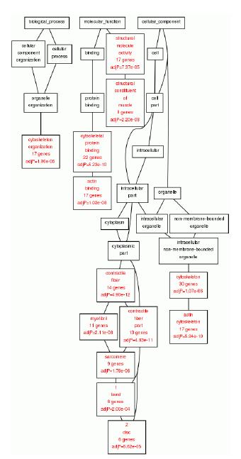 Down-regulation 유전자의 Gene Ontology Category