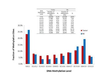 암조직과 정상 조직의 DNA methylation level의 분포