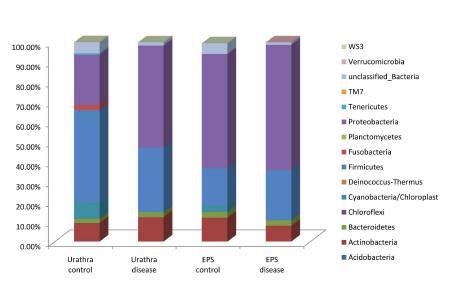 정상과 환자 그리고 요도와 EPS 시료에서 얻어진 phylum에 대한 그래프