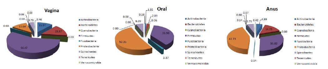 여성의 질, 구강, 항문에서의 미생물 군집 비교 결과