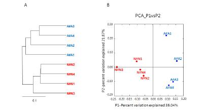 Unifrac을 이용한 구강 질환 환자 구강과 정상인의 구강에서 관찰되는 세균체의 PCoA 분석