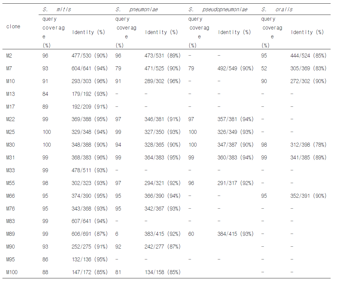 S. mitis 특이 clone들과 Viridans 그룹 세균과의 특이성 분석