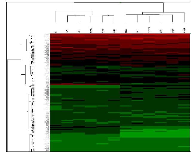 전립선상피 세포주 의 Gene Expression Profiling 결과