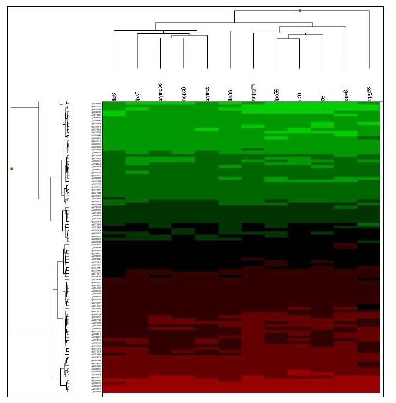 전립선상피세포의 DNA Methylation Profiling 결과