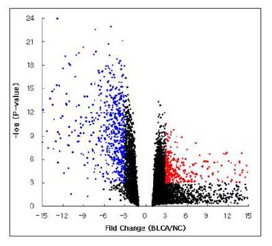 Gene Expression Level - Volcano Plot