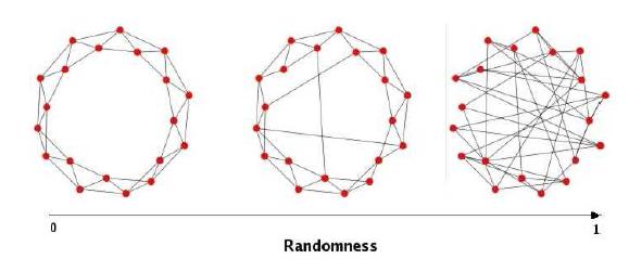 “Small-world” network architecture(middle) distinguished from ordered (left) or random networks (right)