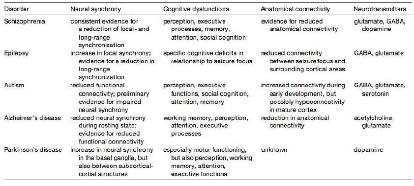 뇌질환별 특징 및 네트워크 동기화 변화와의 관계