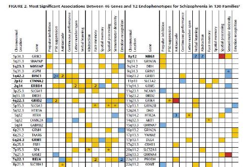 Gene-endophenotype associations in schizophrenia