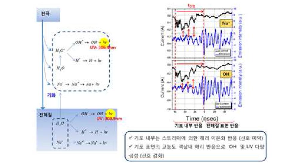 (우)플라즈마의 수산화기 형성기전 모식도, (좌)방전시 전류신호 및 수산화기 발광신호 비교