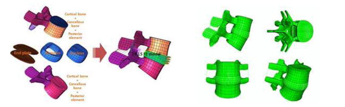 Reference FE lumbar model constructed by using CT image