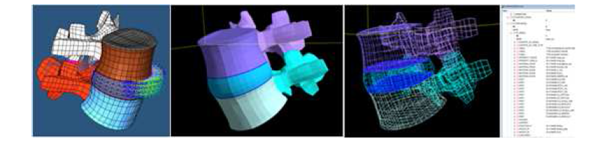 인공디스크 수핵 팽창 simulation을 위한 Madymo model image