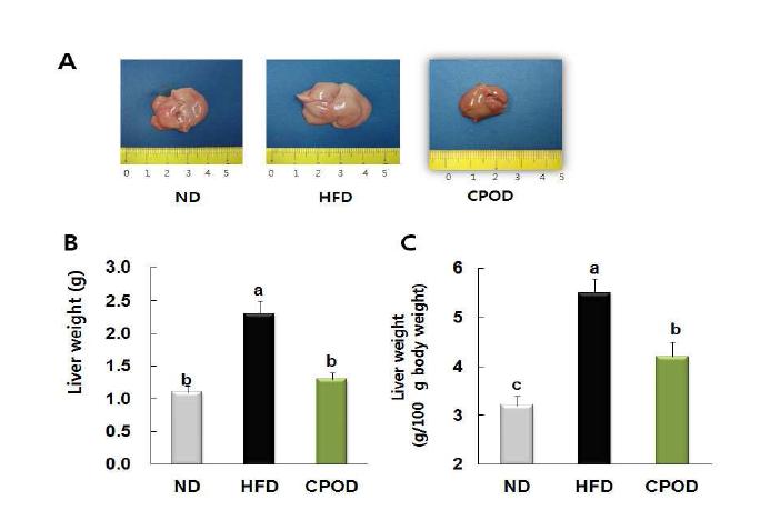 Effects of CPOD feeding on liver histology and liver weight.