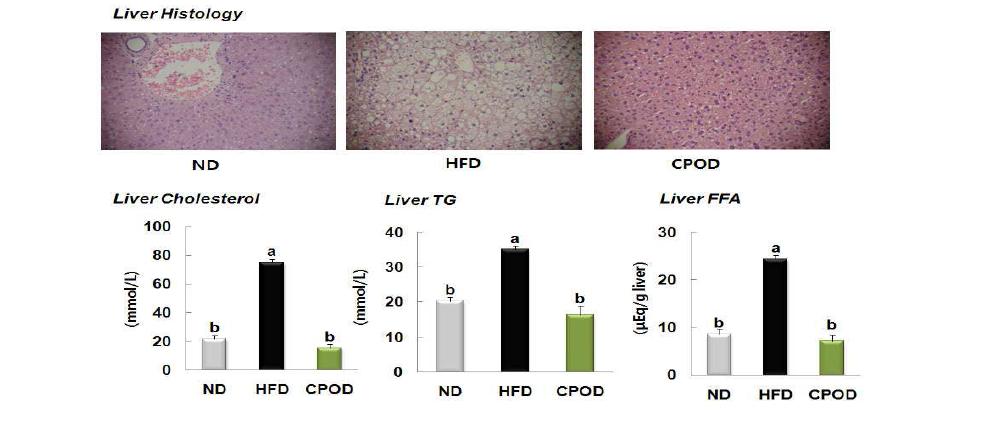 Histological profiles and hepatic lipid concentrations of mice fedexperimental diets.