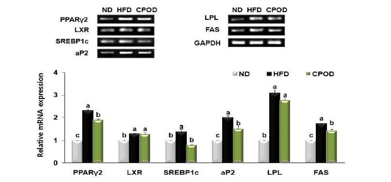 Effect of dietary camphor supplementation on expression of genes involved inadipogenesis in the liver of mice fed a HFD.